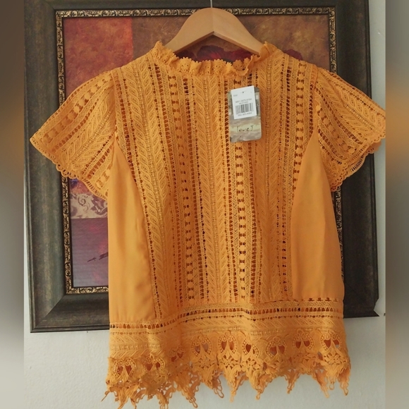 Tops - Gorgeous See Through Mustard colored Shirt